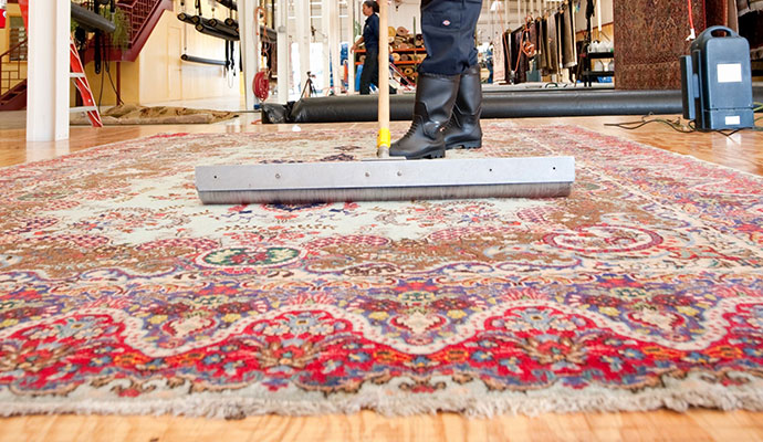 Professional Rug Cleaning Service by Legacy Rug Care