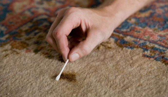 Common Reasons for Blot Spills in Your Rugs