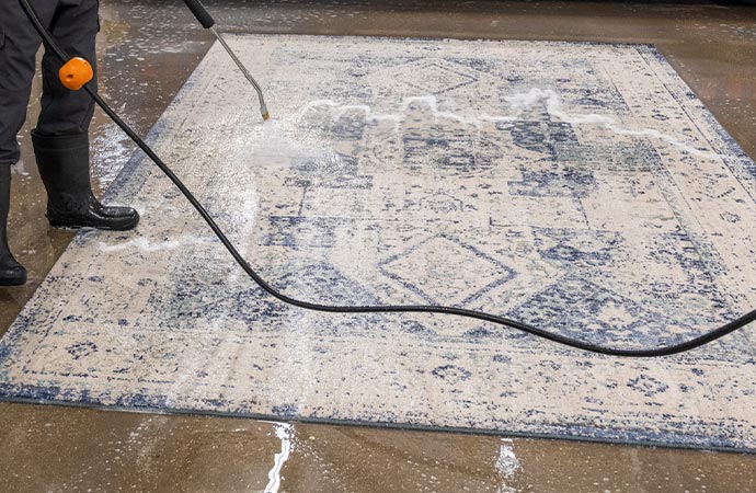 Professional worker cleaning and spraying area rug